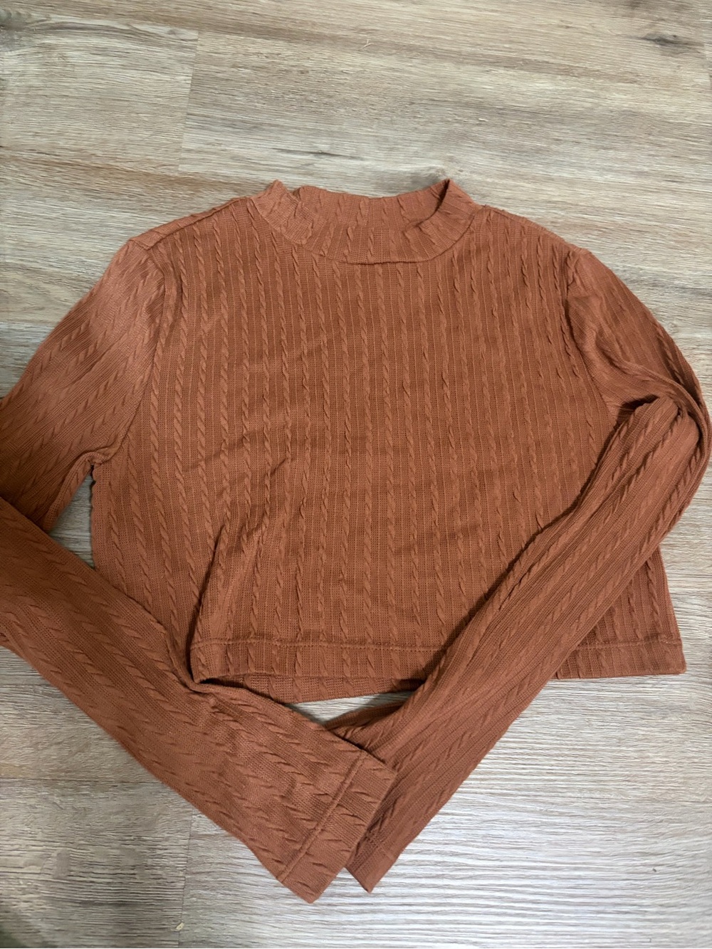 Women’s Long Sleeve Ribbed Mock Neck Top - Rust cropped